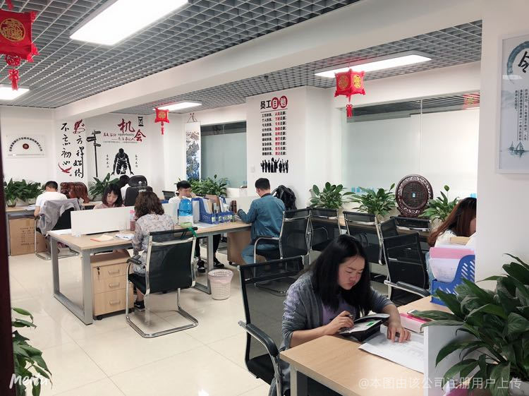 鼎顺融 专业经济信息咨询的力量